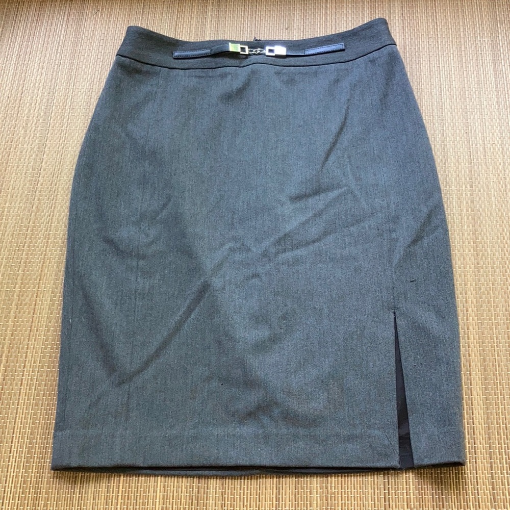 Express Skirt 4